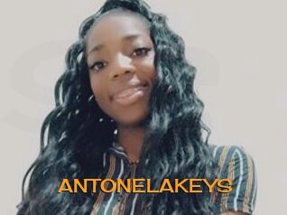 ANTONELAKEYS