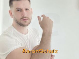 AaronSchulz