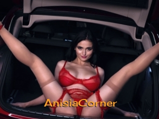 AnisiaCorner