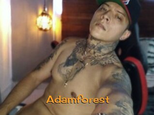 Adamforest