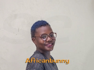 Africanbunny