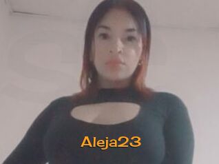 Aleja23