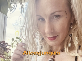 Alicesjungalo