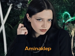 Aminaklep