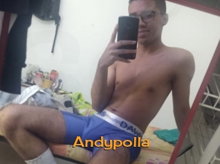 Andypolla