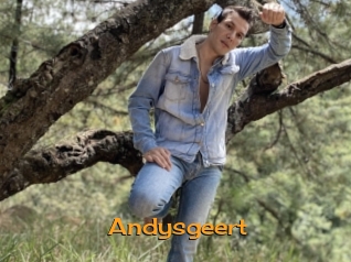 Andysgeert