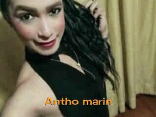 Antho_marin