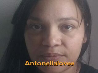 Antonellalovee