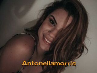 Antonellamorris