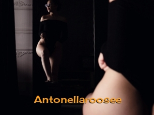 Antonellaroosee