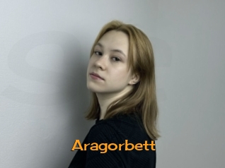 Aragorbett