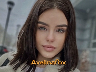 Avelinafox