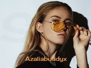 Azaliabuddyx