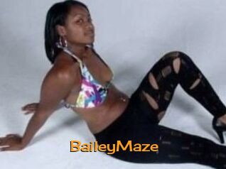 Bailey_Maze