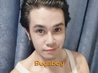 Bugaboy