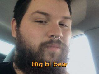 Big_bi_bear