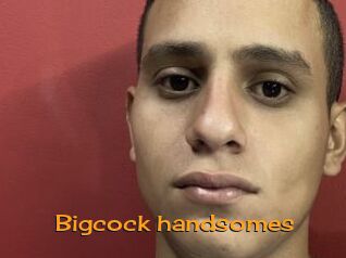 Bigcock_handsomes