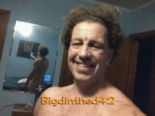 Bigdinthed42