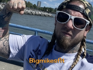 Bigmikesfit