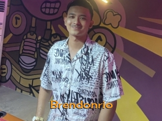 brendonrio Sortez Couvert