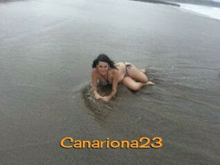 Canariona23