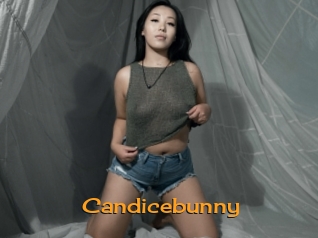 Candicebunny