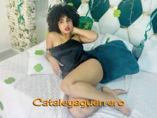 Cataleyaguerrero