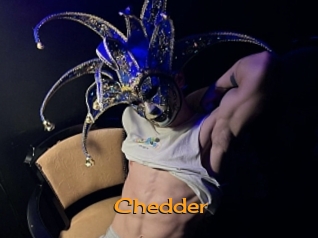 Chedder