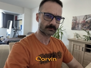 Corvin