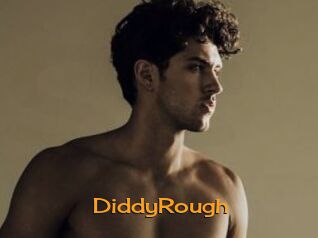 DiddyRough