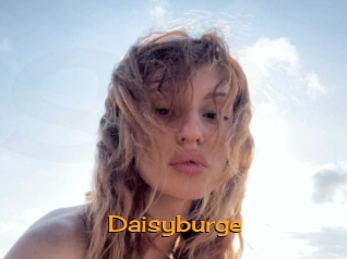 Daisyburge