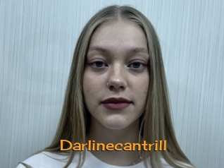 Darlinecantrill