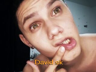 David_sk