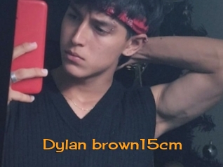 Dylan_brown15cm