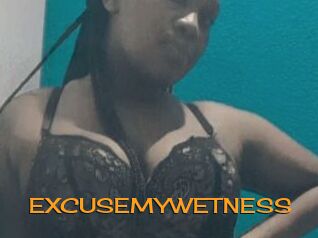 EXCUSEMYWETNESS