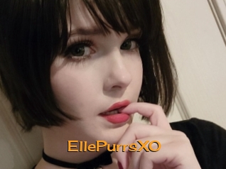 EllePurrsXO