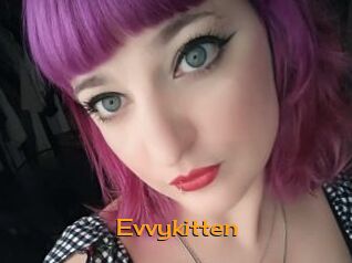 Evvykitten