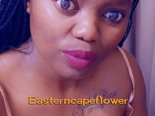 Easterncapeflower