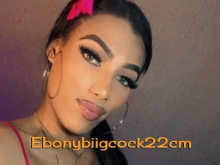 Ebonybiigcock22cm