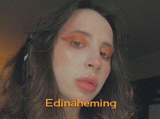 Edinaheming