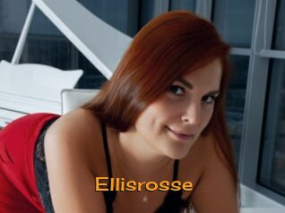 Ellisrosse