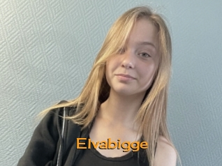 Elvabigge