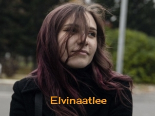 Elvinaatlee