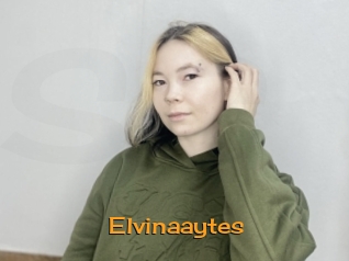 Elvinaaytes