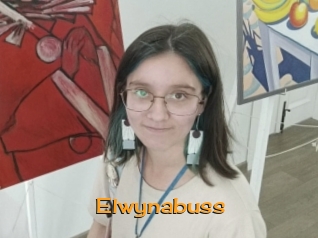 Elwynabuss