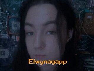 Elwynagapp