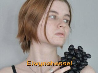 Elwynahessel