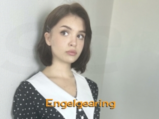 Engelgearing