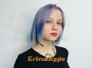 Erlinadiggle