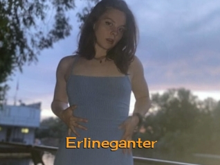 Erlineganter